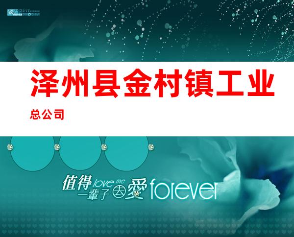 泽州县金村镇工业总公司